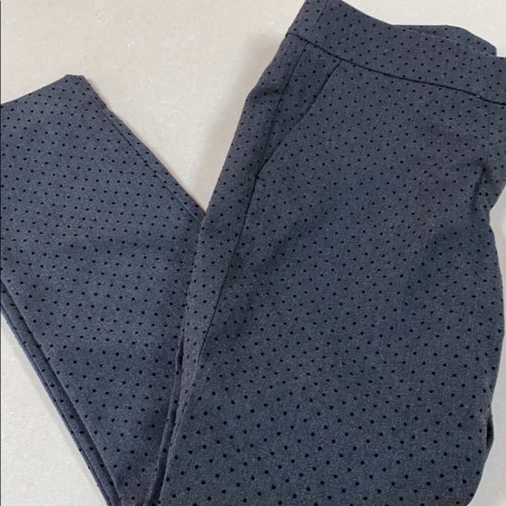 Loft petite polka dot pants.